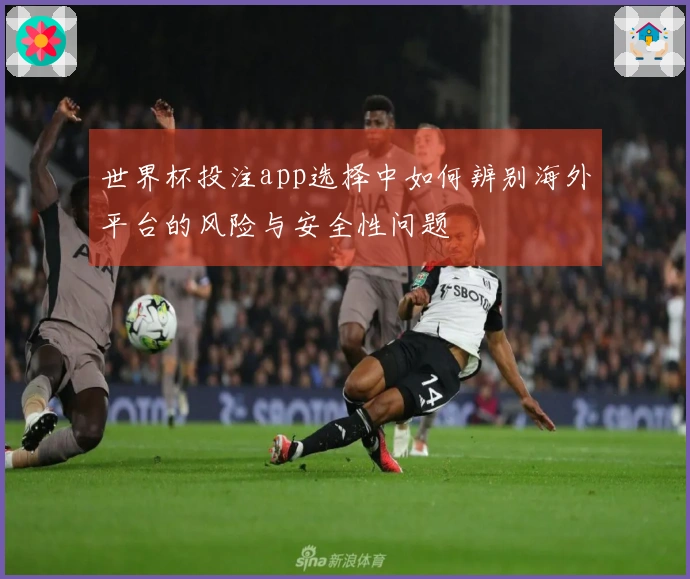世界杯投注app选择中如何辨别海外平台的风险与安全性问题