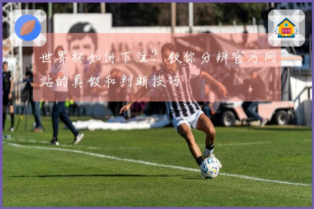 世界杯如何下注？教你分辨官方网站的真假和判断技巧