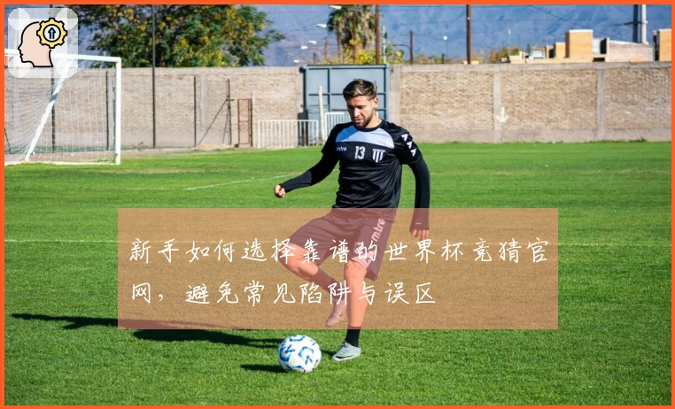 新手如何选择靠谱的世界杯竞猜官网，避免常见陷阱与误区