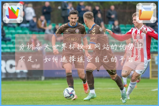 分析各大世界杯投注网站的优势与不足，如何选择适合自己的平台？