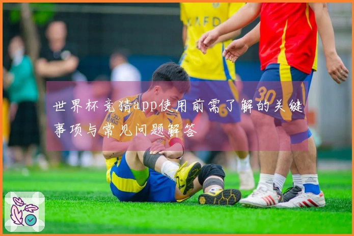 世界杯竞猜app使用前需了解的关键事项与常见问题解答