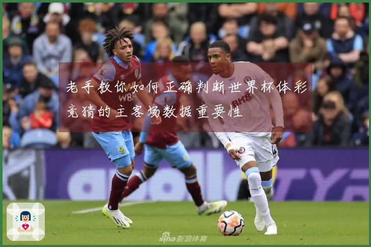 老手教你如何正确判断世界杯体彩竞猜的主客场数据重要性