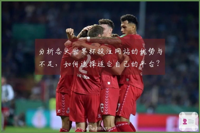 分析各大世界杯投注网站的优势与不足，如何选择适合自己的平台？