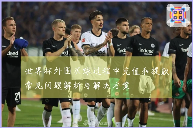 世界杯外围买球过程中充值和提款常见问题解析与解决方案