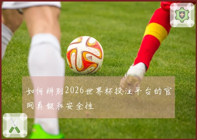 如何辨别2026世界杯投注平台的官网真假和安全性