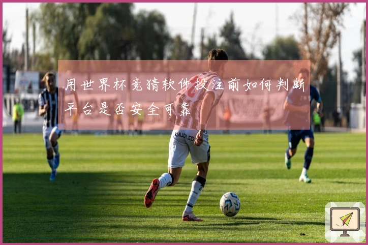 用世界杯竞猜软件投注前如何判断平台是否安全可靠