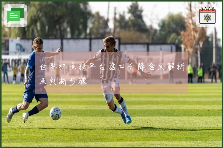 世界杯竞猜平台盘口升降含义解析及判断步骤