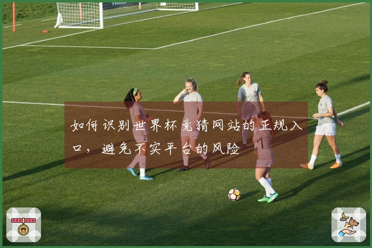 如何识别世界杯竞猜网站的正规入口，避免不实平台的风险