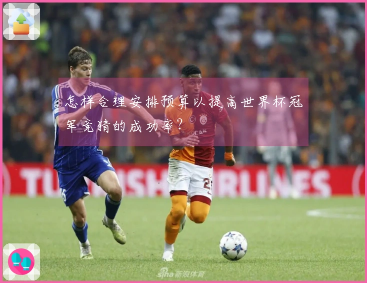 怎样合理安排预算以提高世界杯冠军竞猜的成功率？