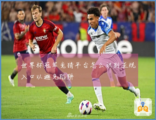 世界杯冠军竞猜平台怎么识别正规入口以避免陷阱