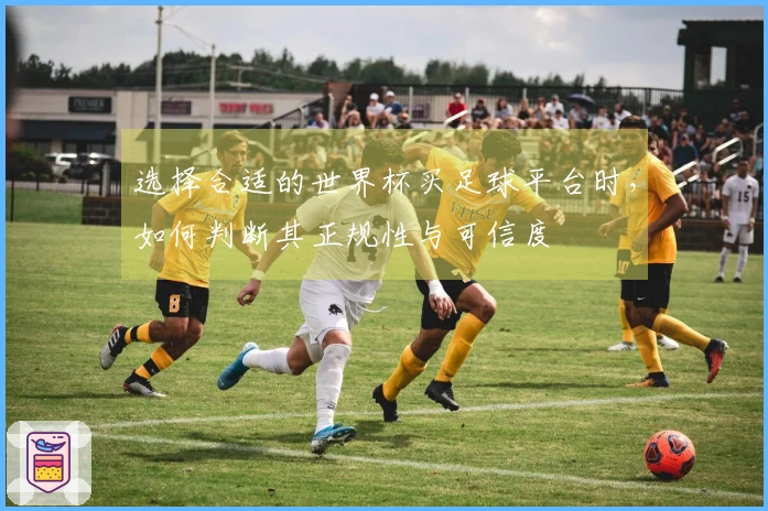 选择合适的世界杯买足球平台时，如何判断其正规性与可信度