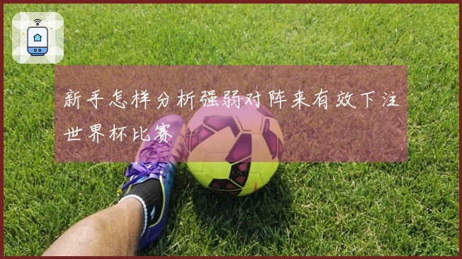 新手怎样分析强弱对阵来有效下注世界杯比赛