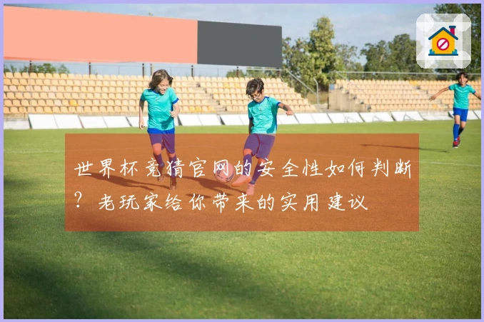 世界杯竞猜官网的安全性如何判断？老玩家给你带来的实用建议