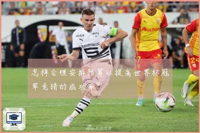 怎样合理安排预算以提高世界杯冠军竞猜的成功率？