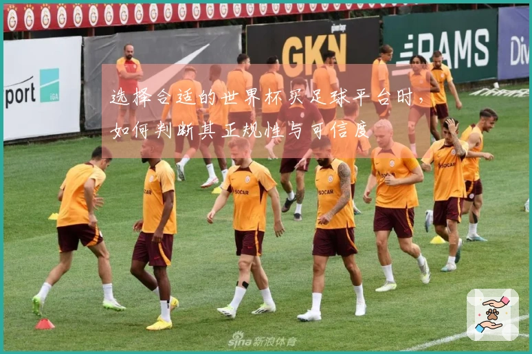选择合适的世界杯买足球平台时，如何判断其正规性与可信度