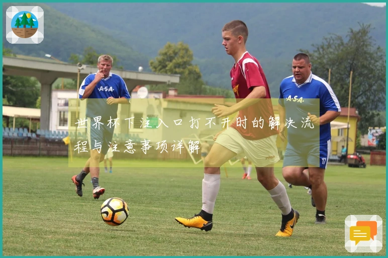 世界杯下注入口打不开时的解决流程与注意事项详解