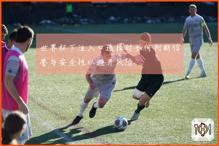世界杯下注入口选择时如何判断信誉与安全性以避开风险