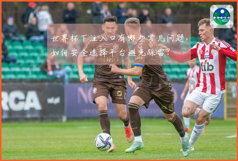 世界杯下注入口有哪些常见问题，如何安全选择平台避免踩雷？