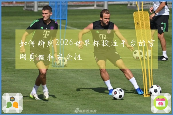 如何辨别2026世界杯投注平台的官网真假和安全性