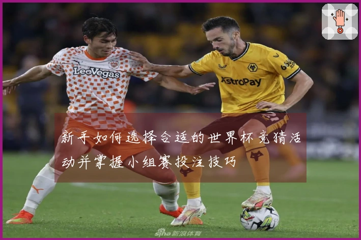 新手如何选择合适的世界杯竞猜活动并掌握小组赛投注技巧