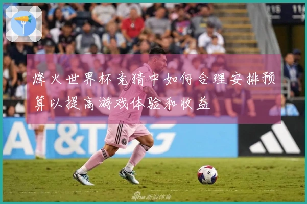 烽火世界杯竞猜中如何合理安排预算以提高游戏体验和收益