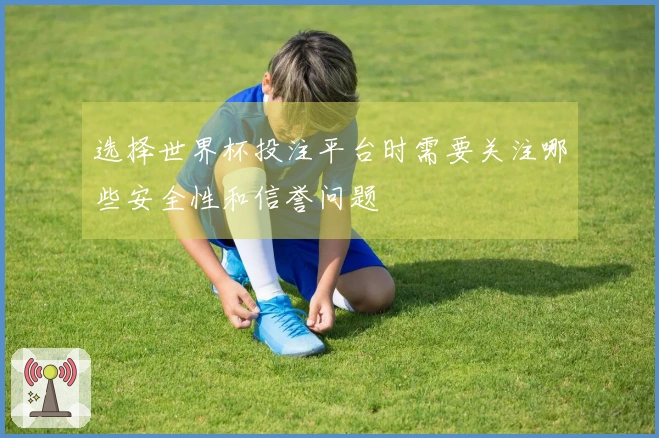 选择世界杯投注平台时需要关注哪些安全性和信誉问题