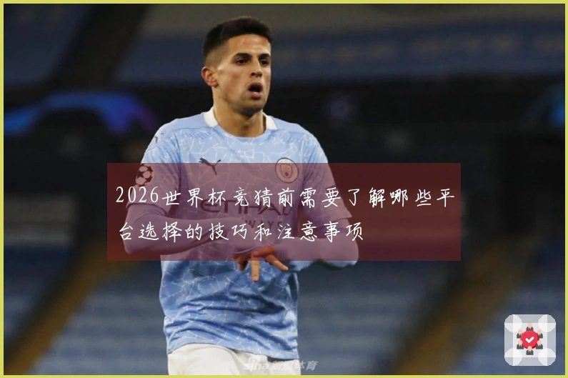2026世界杯竞猜前需要了解哪些平台选择的技巧和注意事项